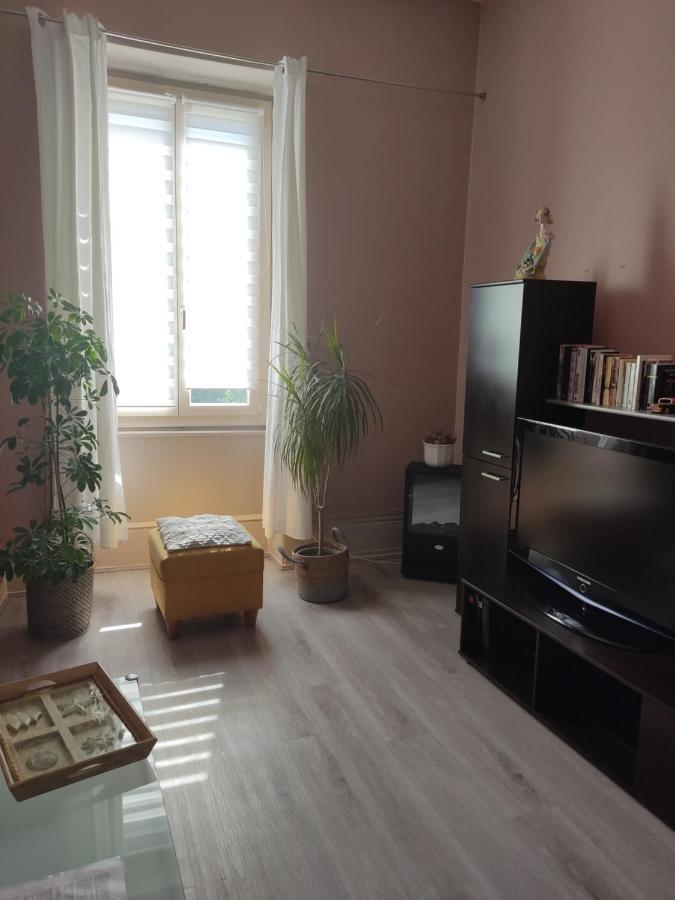 Gite Chanay 80 M2 Tournus 2 Chambres Exteriör bild